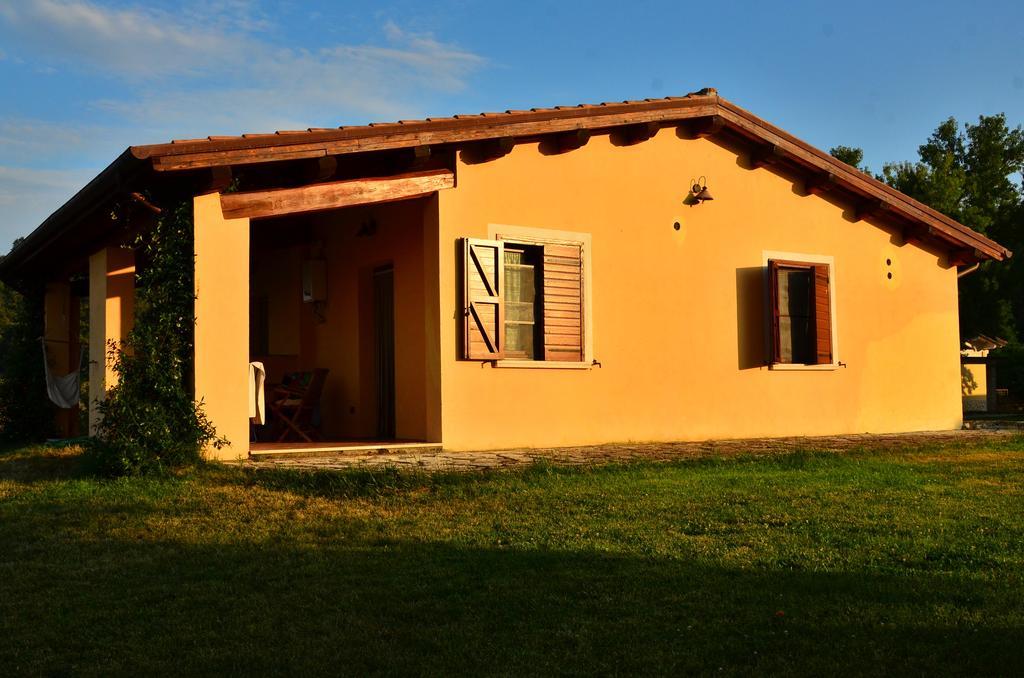 Agriturismo Terre Di Musignano Canino Номер фото