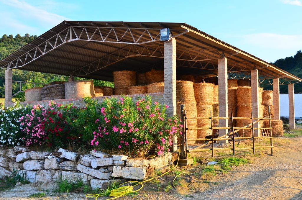 Agriturismo Terre Di Musignano Canino Номер фото