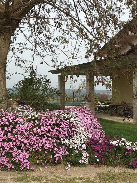 Agriturismo Terre Di Musignano Canino Екстер'єр фото