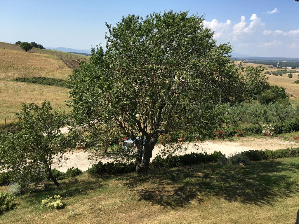 Agriturismo Terre Di Musignano Canino Екстер'єр фото