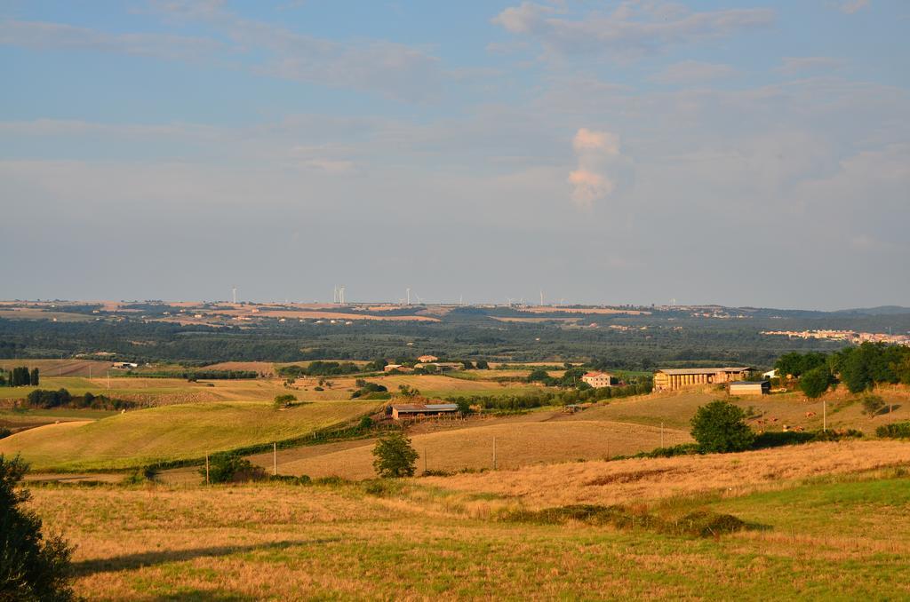 Agriturismo Terre Di Musignano Canino Екстер'єр фото